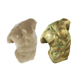 Sculpture gaddi torso